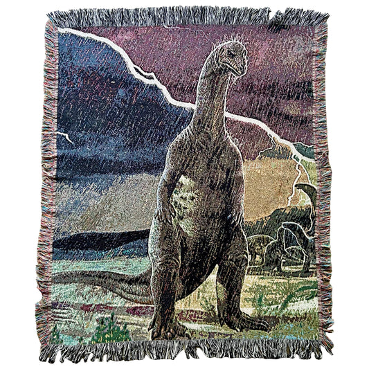Dinosaur in the Rain blanket